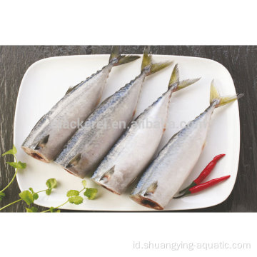 Ikan beku pacific mackerel hgt dengan harga terendah